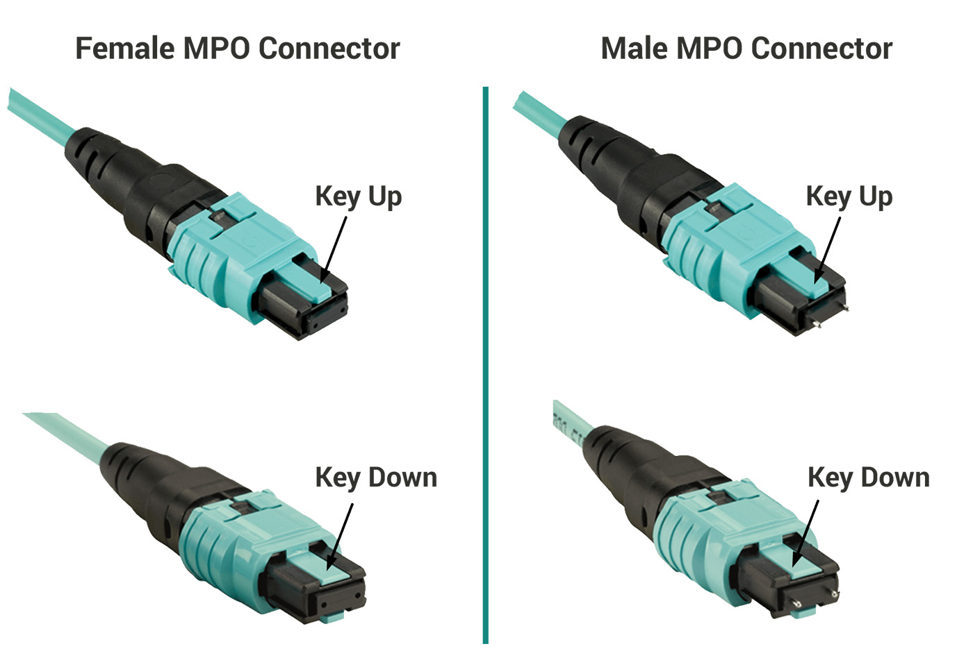 MTP-MPO to FC OM3 16fo Fiber Optic Patch Cable