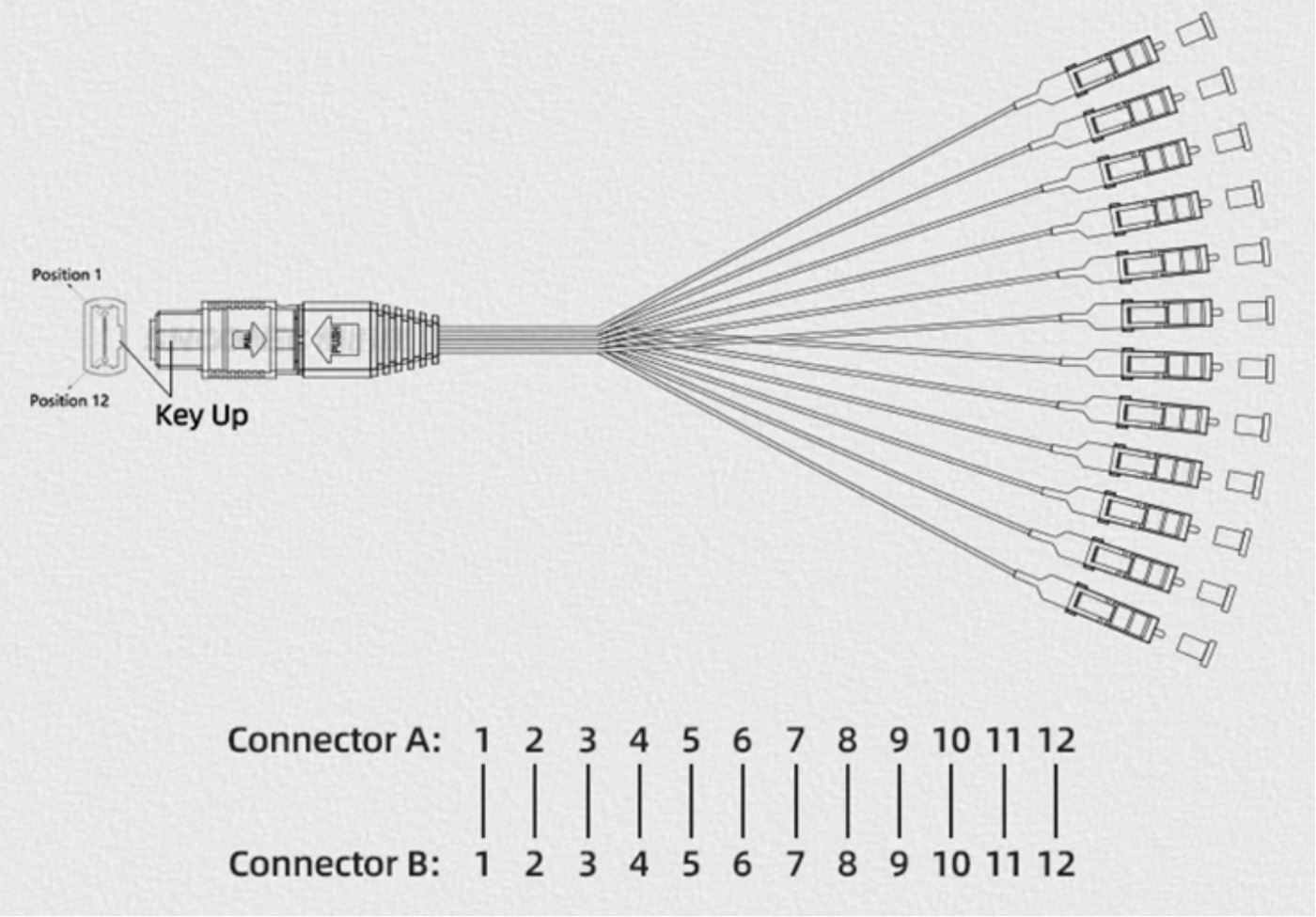 MTP-MPO to LC fanout fiber optic patch cable